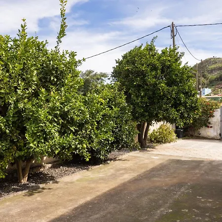 Con Jardin Y Barbacoa En El Centro De La Laguna (Tenerife)
