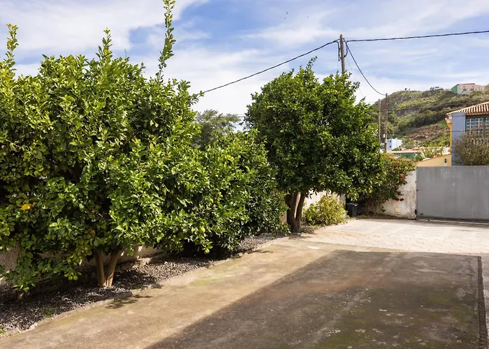 Con Jardin Y Barbacoa En El Centro De La Laguna (Tenerife)